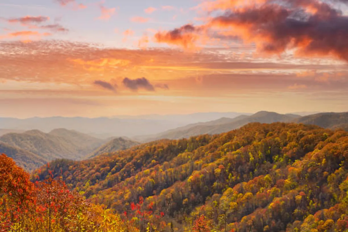 A sweeping view of vibrant autumn foliage, a distant mountain range, and a dramatic sky dotted with clouds. The scene captures the essence of the Smokies, where hiking, nature observation, and relaxation abound.